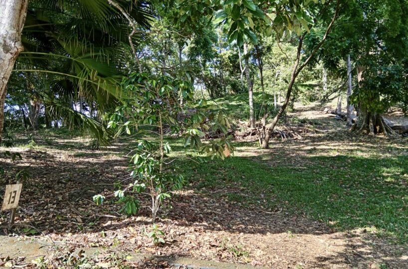 Building Lots for sale in Atenas Costa Rica