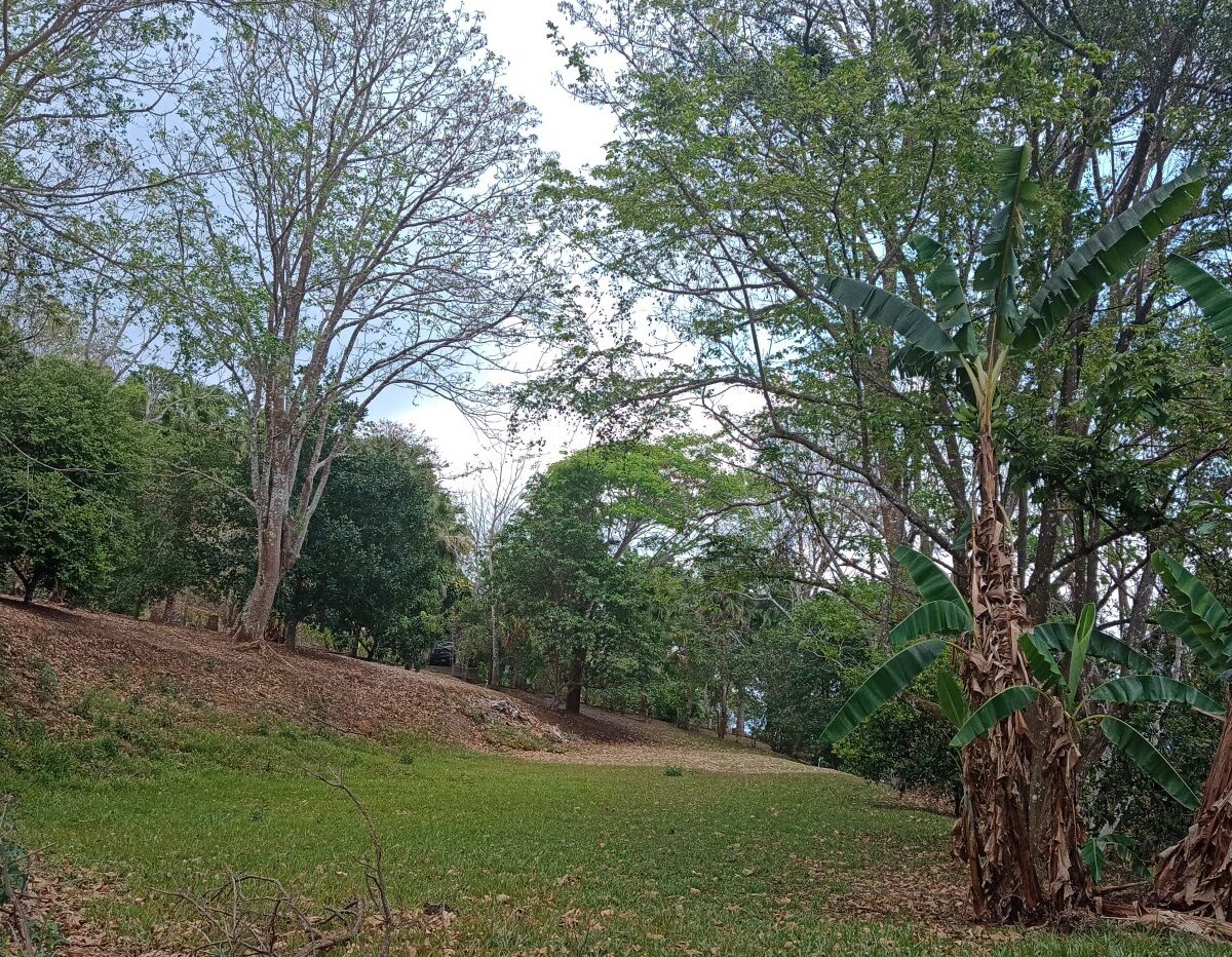 Building Lots for sale in Atenas Costa Rica