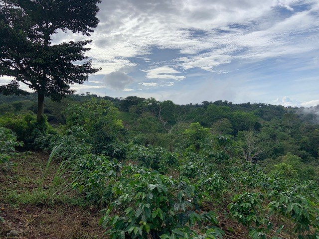 Building Lots for sale in Atenas Costa Rica