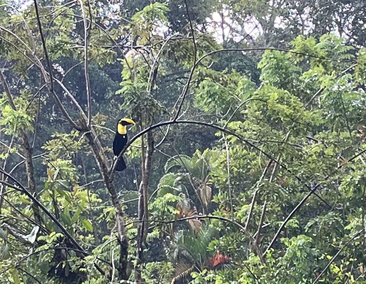 Homes for sale in Atenas Costa Rica