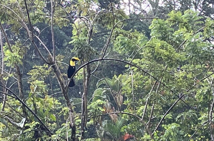 Homes for sale in Atenas Costa Rica