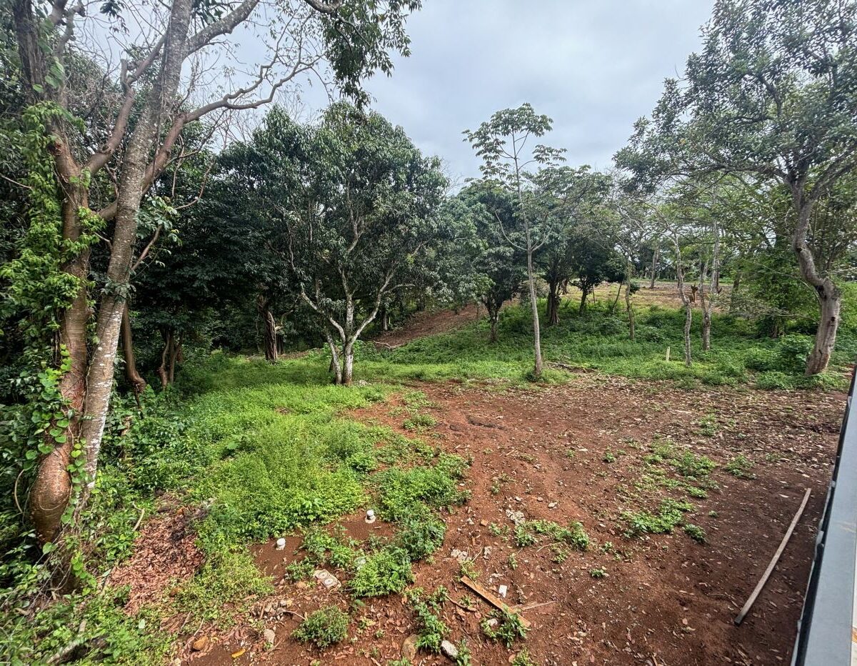 Homes for sale in Atenas Costa Rica