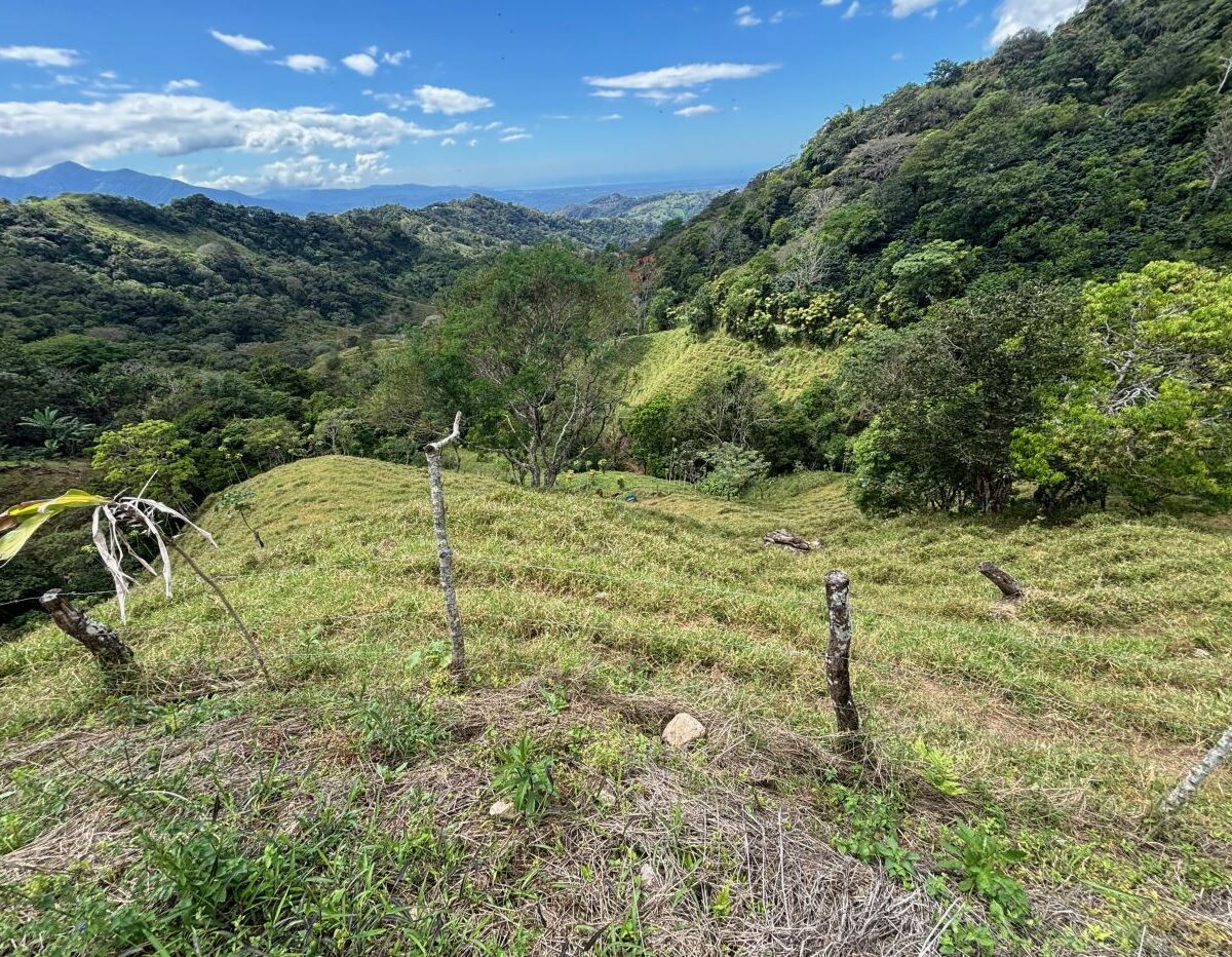 Homes for sale in Atenas Costa Rica