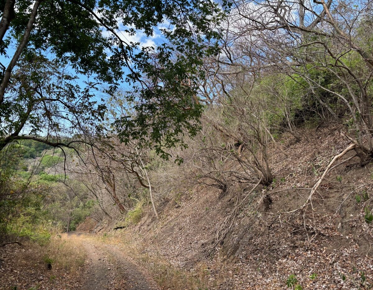 Building Lots for sale in Atenas Costa Rica