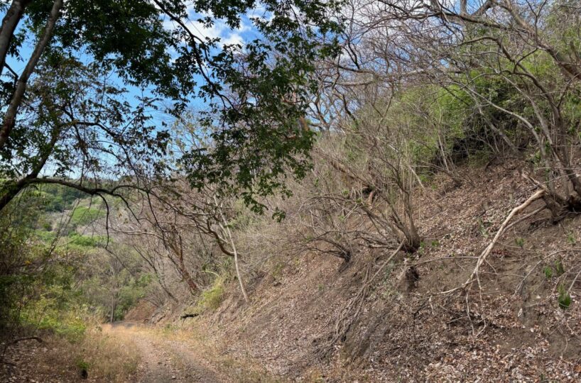 Building Lots for sale in Atenas Costa Rica