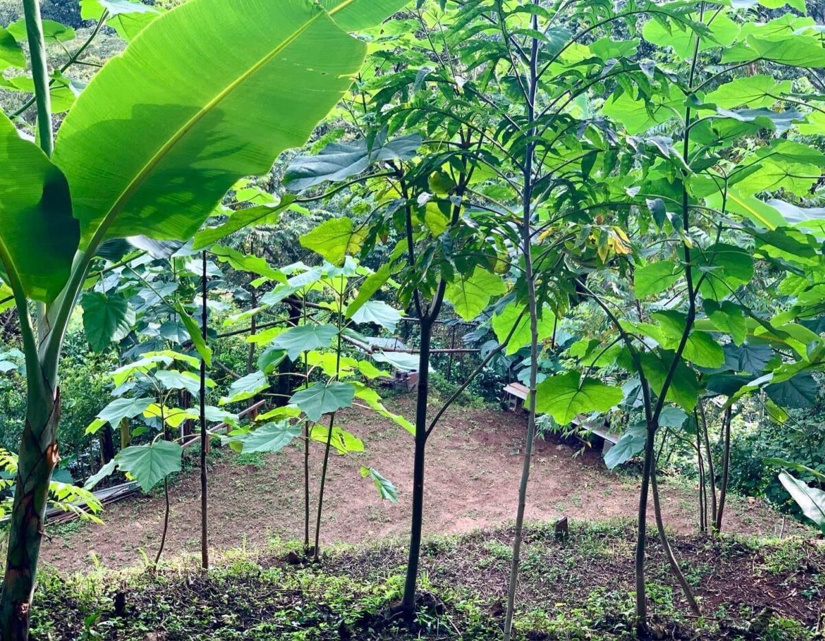 Building Lots for sale in Atenas Costa Rica