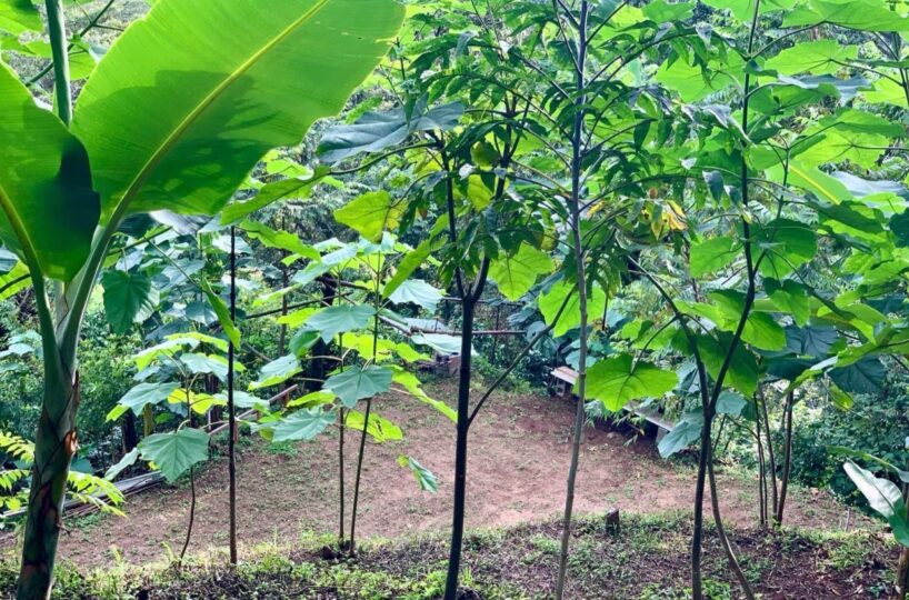 Building Lots for sale in Atenas Costa Rica