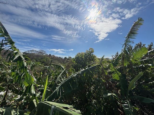 Building Lots for sale in Atenas Costa Rica