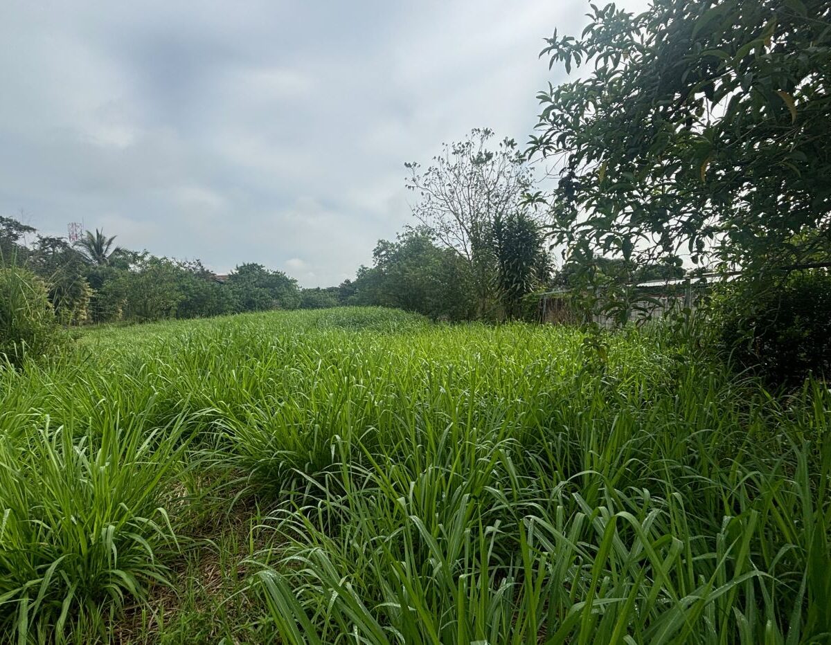 Building Lots for sale in Atenas Costa Rica