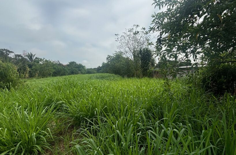 Building Lots for sale in Atenas Costa Rica
