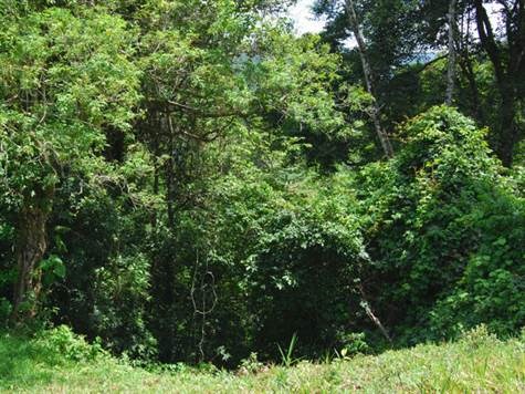 Building Lots for sale in Atenas Costa Rica