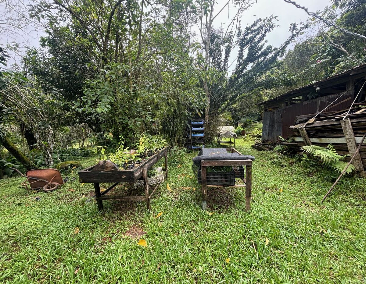 Building Lots for sale in Atenas Costa Rica