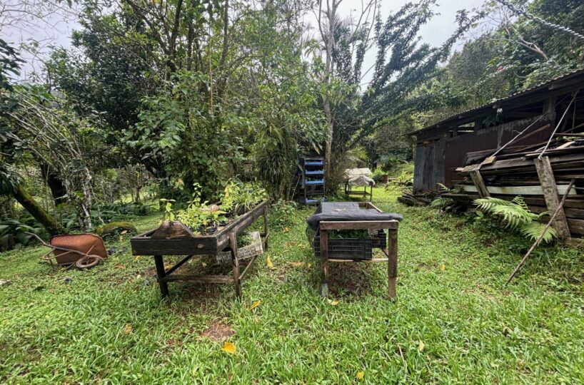 Building Lots for sale in Atenas Costa Rica