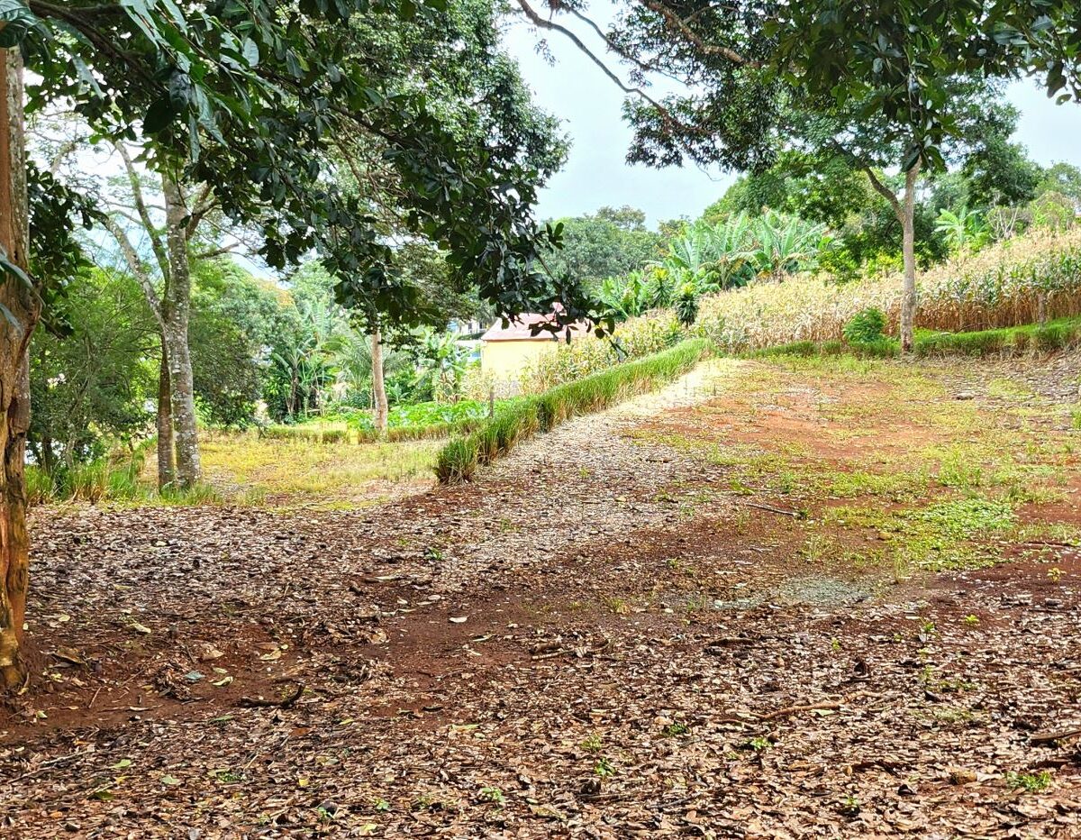 Building Lots for sale in Atenas Costa Rica