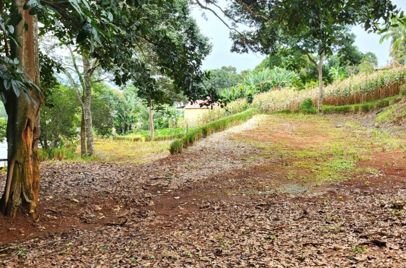 Building Lots for sale in Atenas Costa Rica