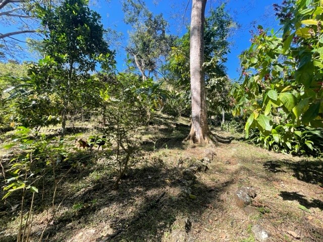 Homes for sale in Atenas Costa Rica