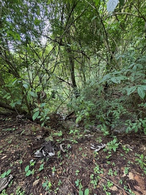 Homes for sale in Atenas Costa Rica