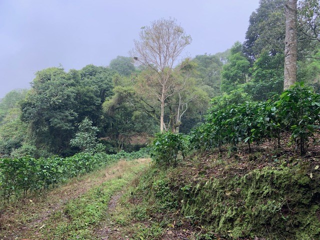 Building Lots for sale in Atenas Costa Rica