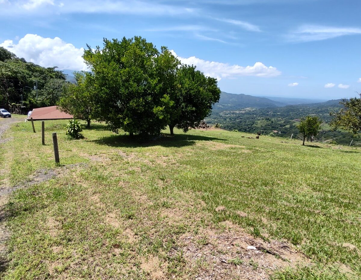 Homes for sale in Atenas Costa Rica