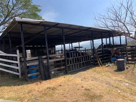 Homes for sale in Atenas Costa Rica