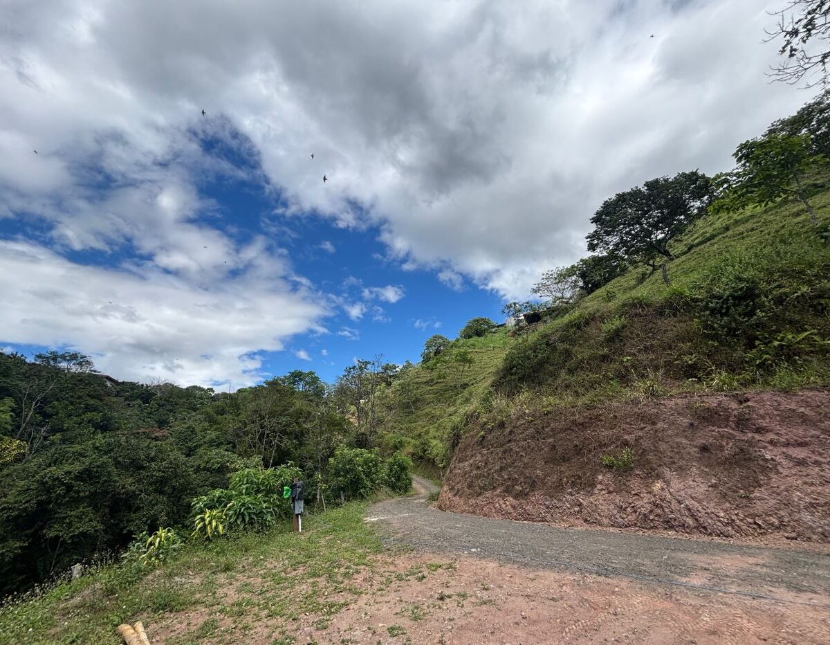 Homes for sale in Atenas Costa Rica