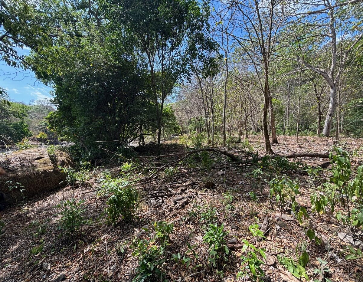 Building Lots for sale in Atenas Costa Rica