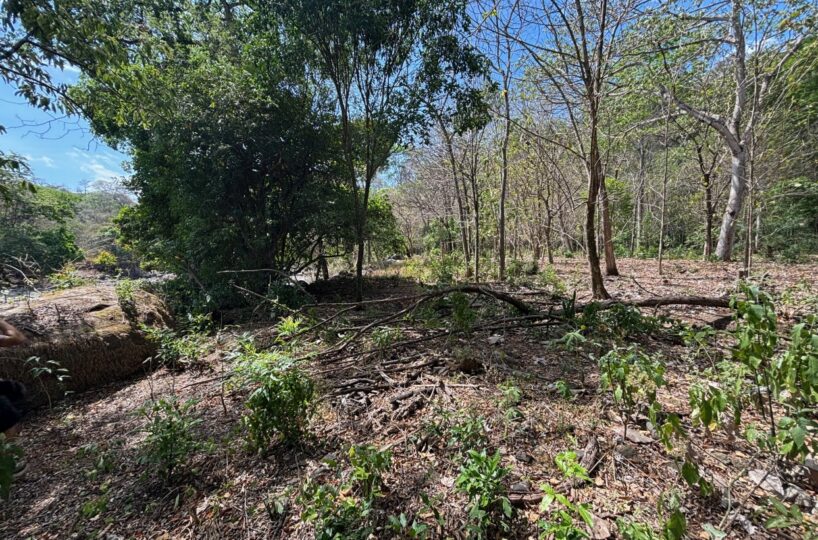 Building Lots for sale in Atenas Costa Rica