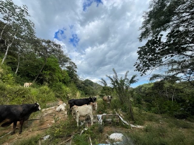 Building Lots for sale in Atenas Costa Rica