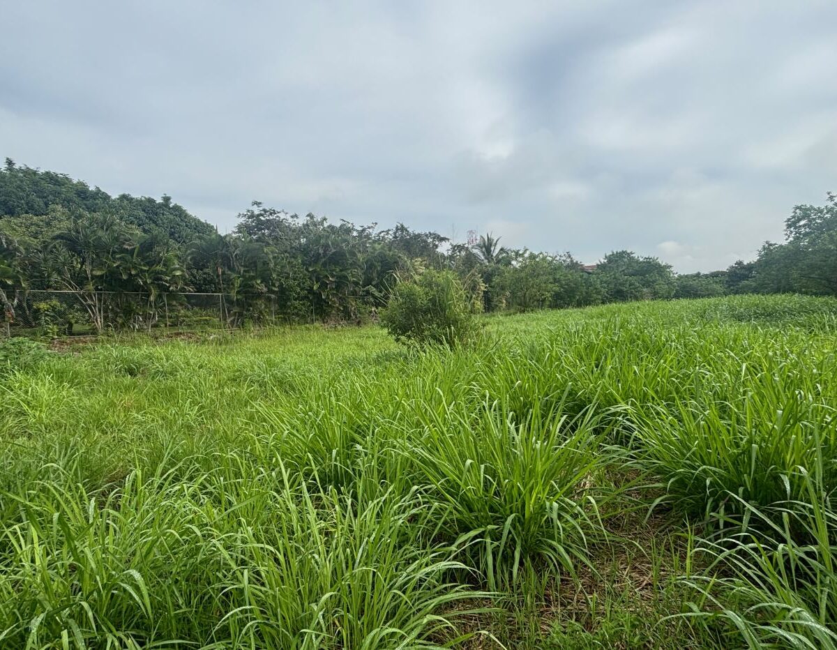Building Lots for sale in Atenas Costa Rica