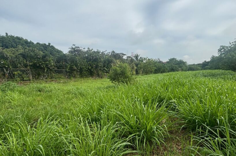 Building Lots for sale in Atenas Costa Rica