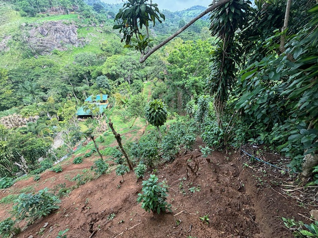 Homes for sale in Atenas Costa Rica