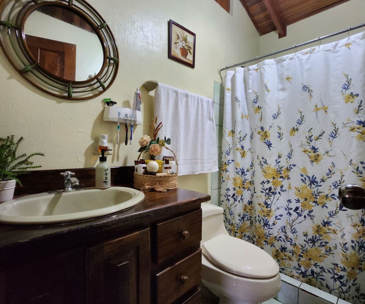 Homes for sale in Atenas Costa Rica