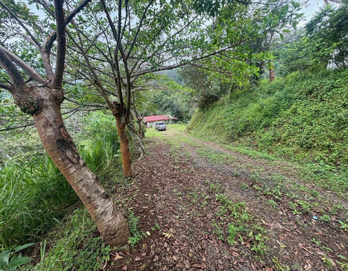 Building Lots for sale in Atenas Costa Rica