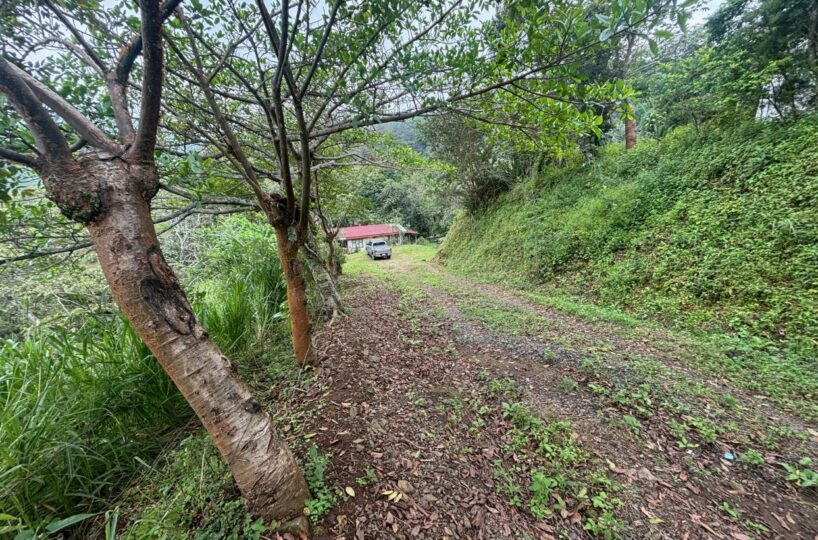 Building Lots for sale in Atenas Costa Rica