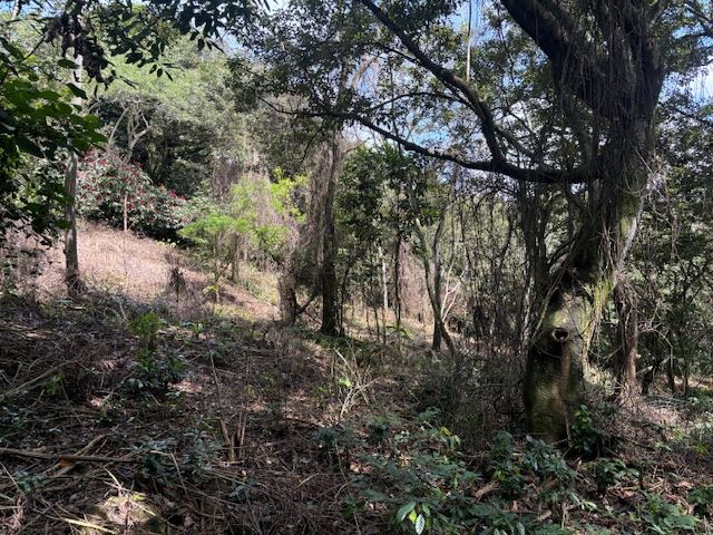 Building Lots for sale in Atenas Costa Rica