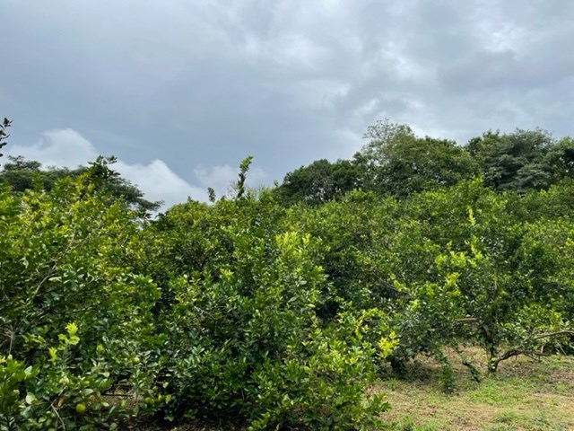 Building Lots for sale in Atenas Costa Rica