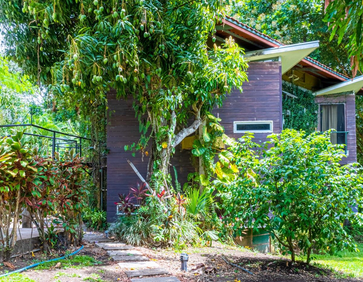 Commercial for sale in Atenas Costa Rica