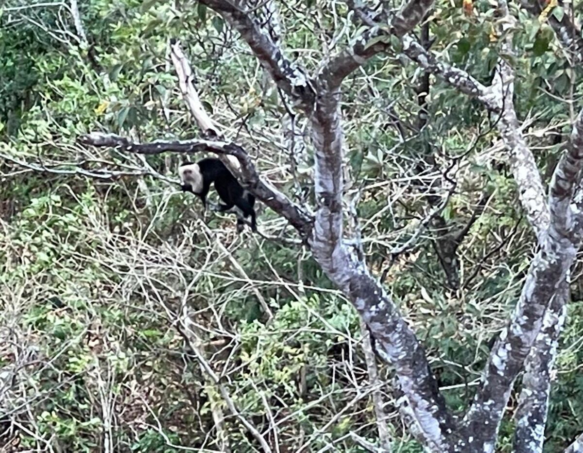 Homes for sale in Atenas Costa Rica