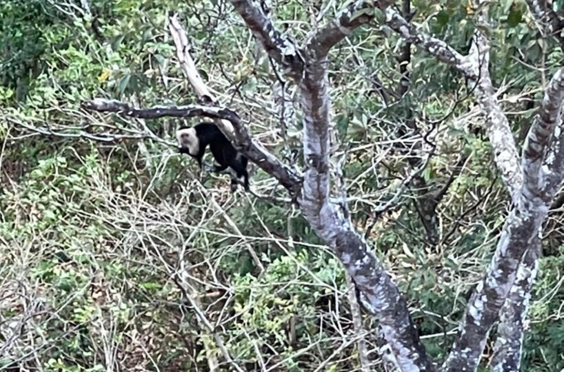 Homes for sale in Atenas Costa Rica