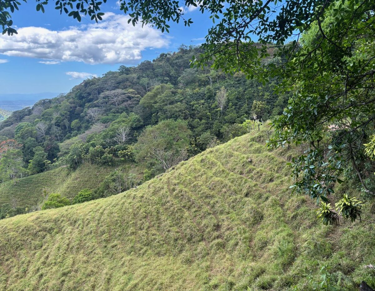 Homes for sale in Atenas Costa Rica