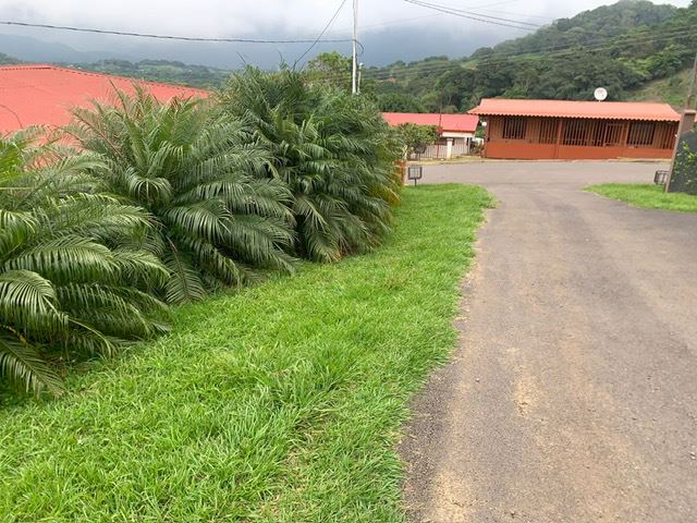 Homes for sale in Atenas Costa Rica