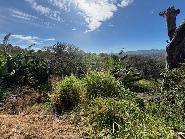 Building Lots for sale in Atenas Costa Rica