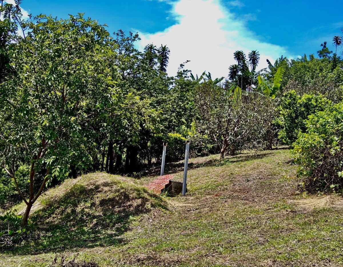 Building Lots for sale in Atenas Costa Rica