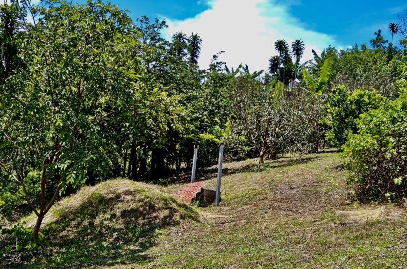 Building Lots for sale in Atenas Costa Rica