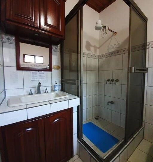 Homes for sale in Atenas Costa Rica