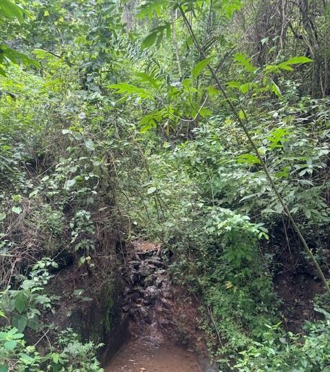 Homes for sale in Atenas Costa Rica