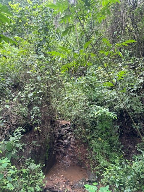 Homes for sale in Atenas Costa Rica