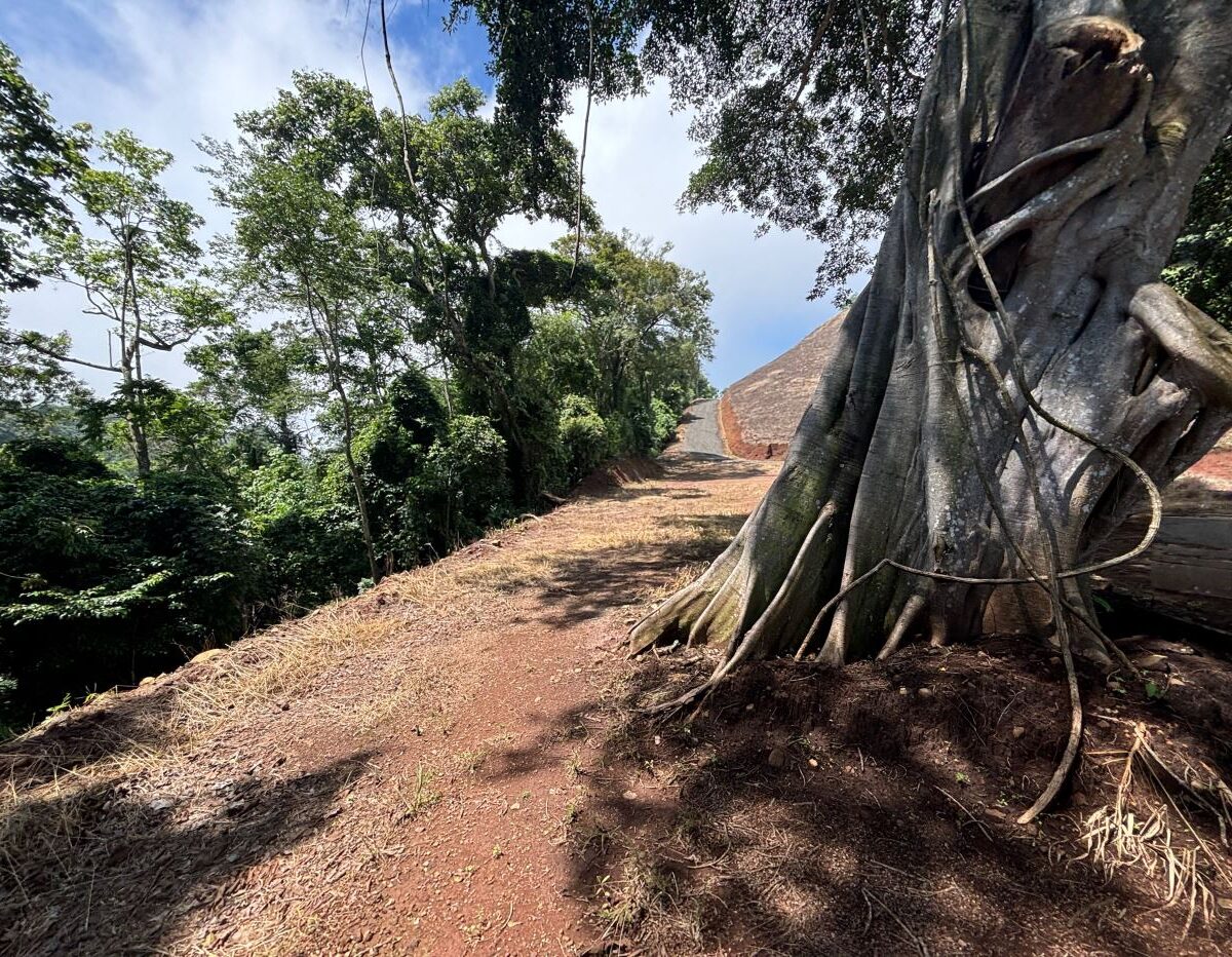 Building Lots for sale in Atenas Costa Rica