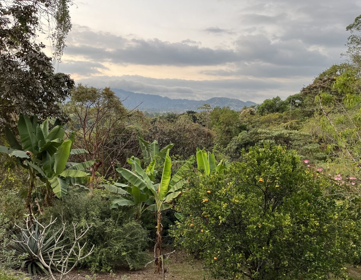 Homes for sale in Atenas Costa Rica