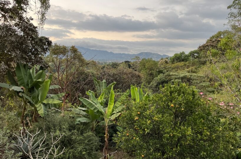 Homes for sale in Atenas Costa Rica